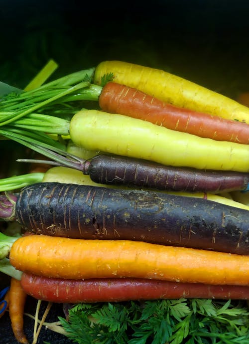 Photos gratuites de aliments crus, carottes, coloré