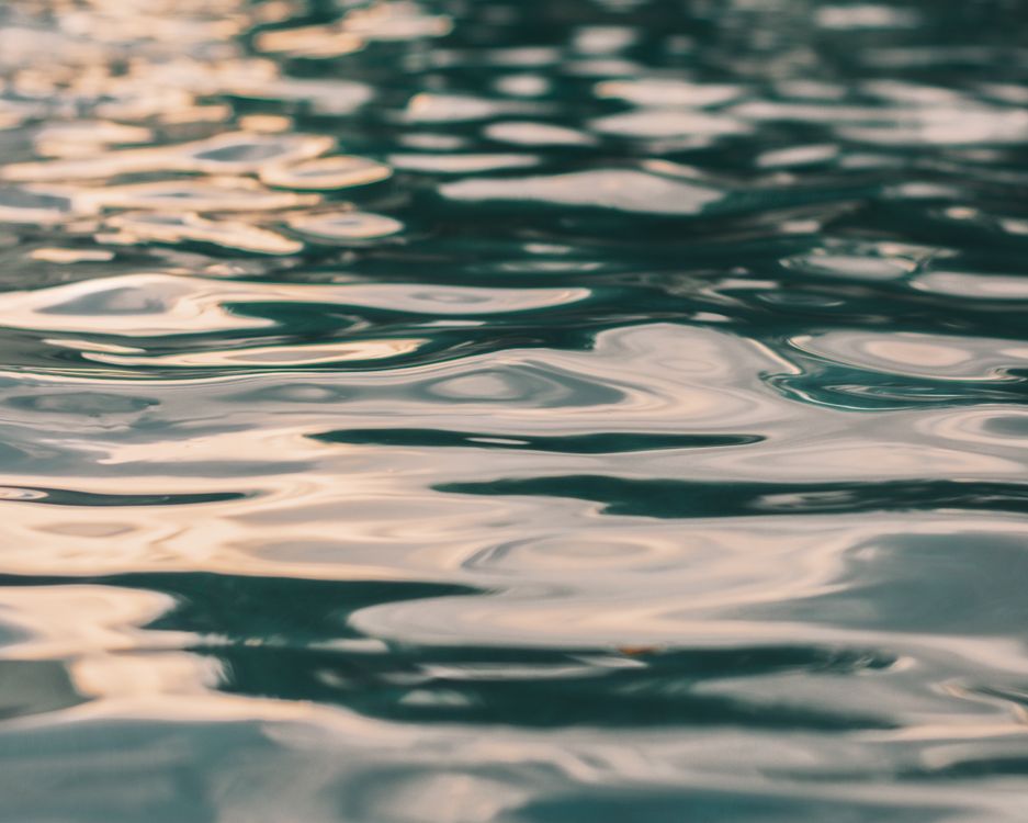 Sunlit Ripples Sunlit Ripples on Water · Free Stock Photo
