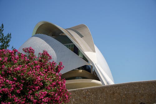 Queen Sofia Palace of Arts in Valencia
