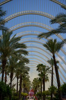 Spectacular view of arched glass roof and palm trees in Valencia's landmark architectural space.