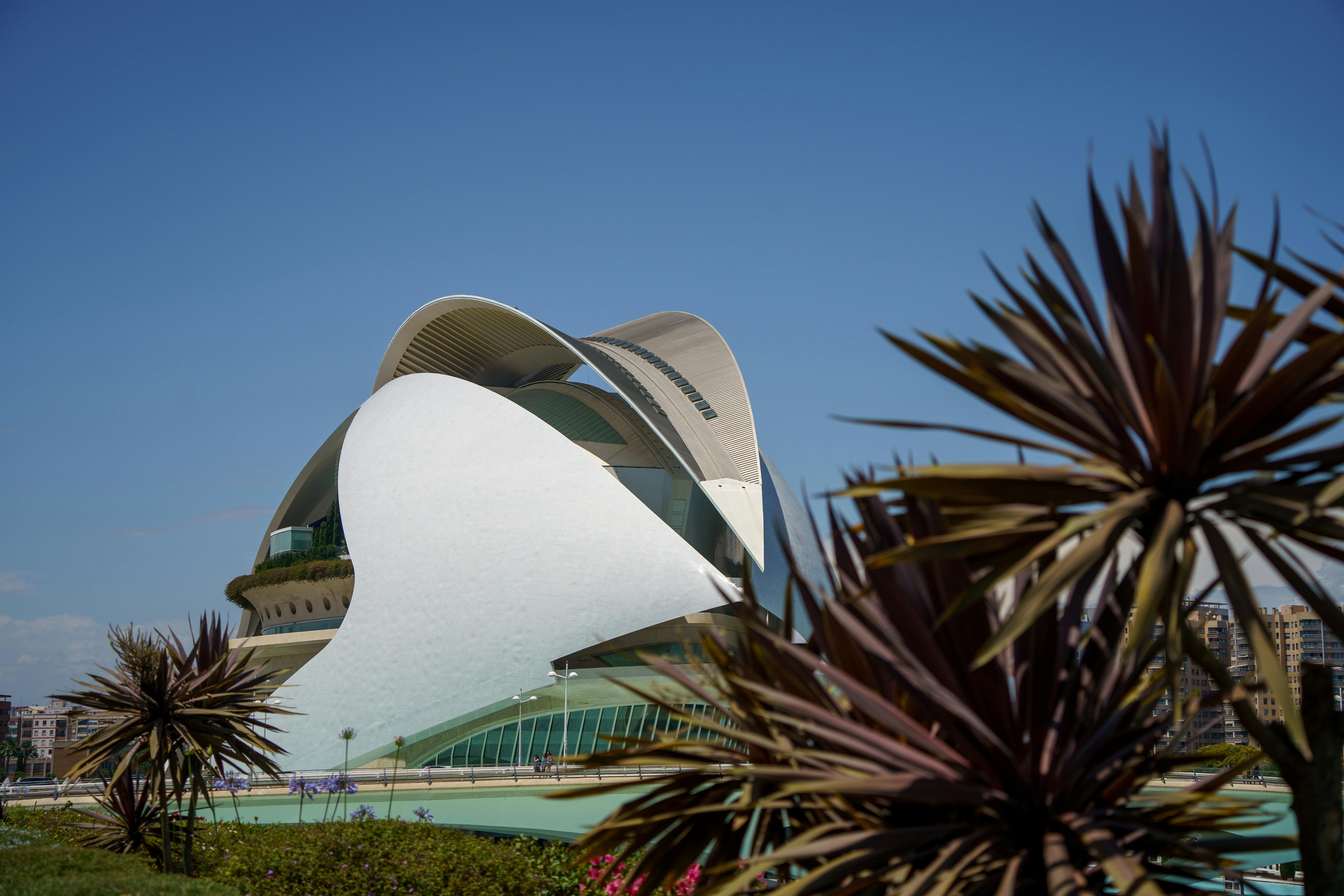 Modern architectural view of the Queen Sofia Palace of Arts surrounded by plants in Valencia, Spain.