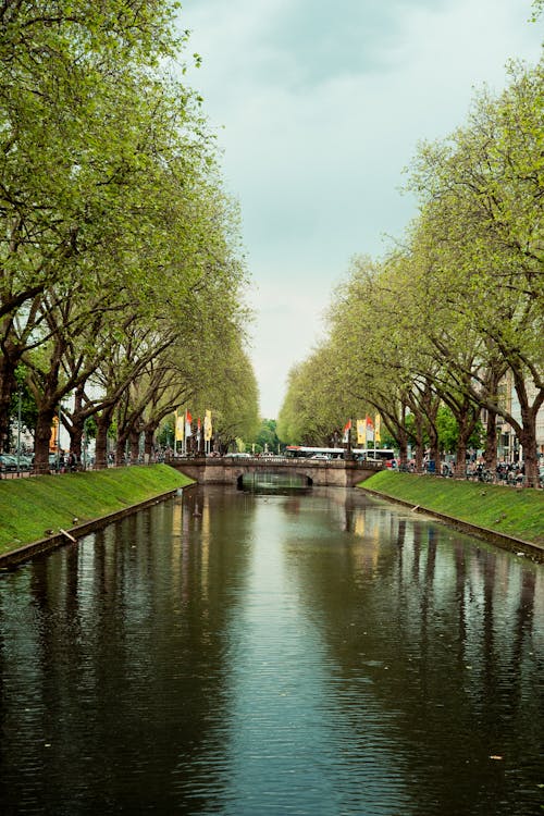 Fotobanka s bezplatnými fotkami na tému düsseldorf, kanál, kanál stadtgraben