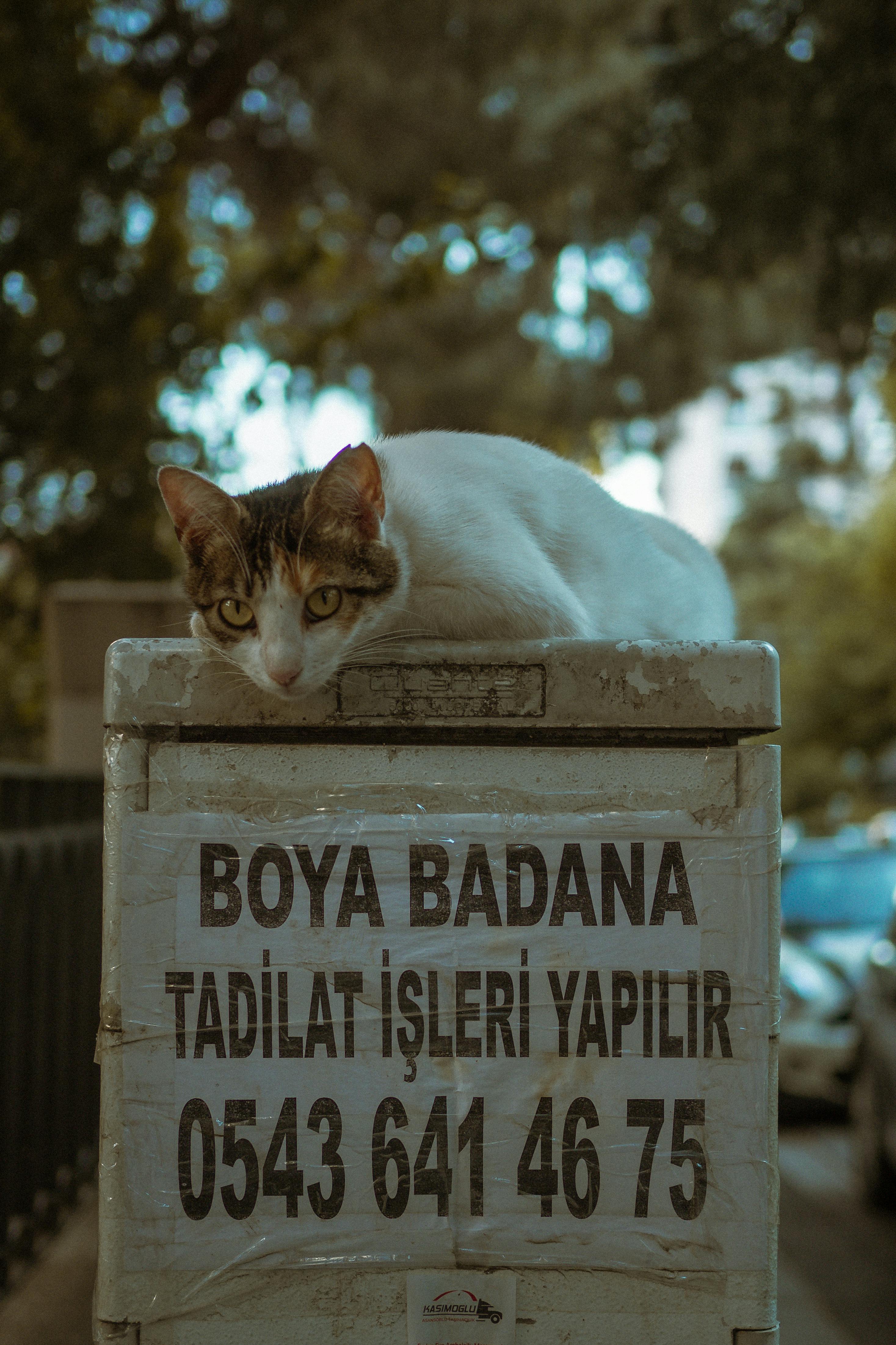 Sinüzit İçin Buhar Tedavisi Nasıl Yapılır? Adım Adım Doğru Uygulamalar