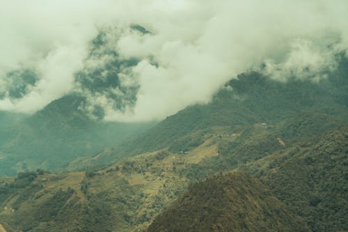 Δωρεάν στοκ φωτογραφιών με βουνά, δασικός, λήψη από drone