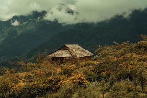 Free A rustic cabin nestled in lush mountains amid misty fields and vibrant wildflowers, offering a serene landscape view. Stock Photo