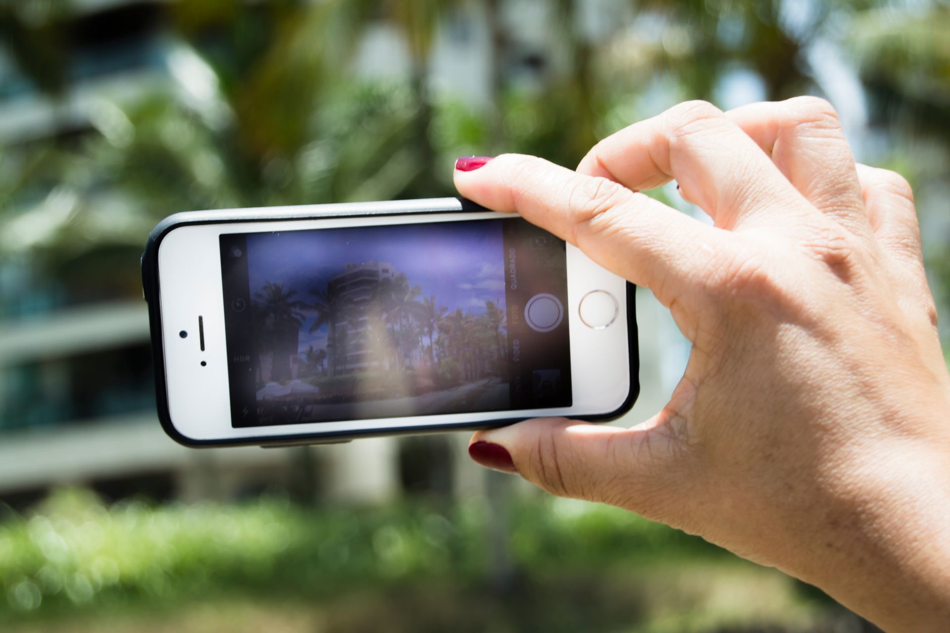A hand holding a smartphone capturing a blurred outdoor background, highlighting phone photography.