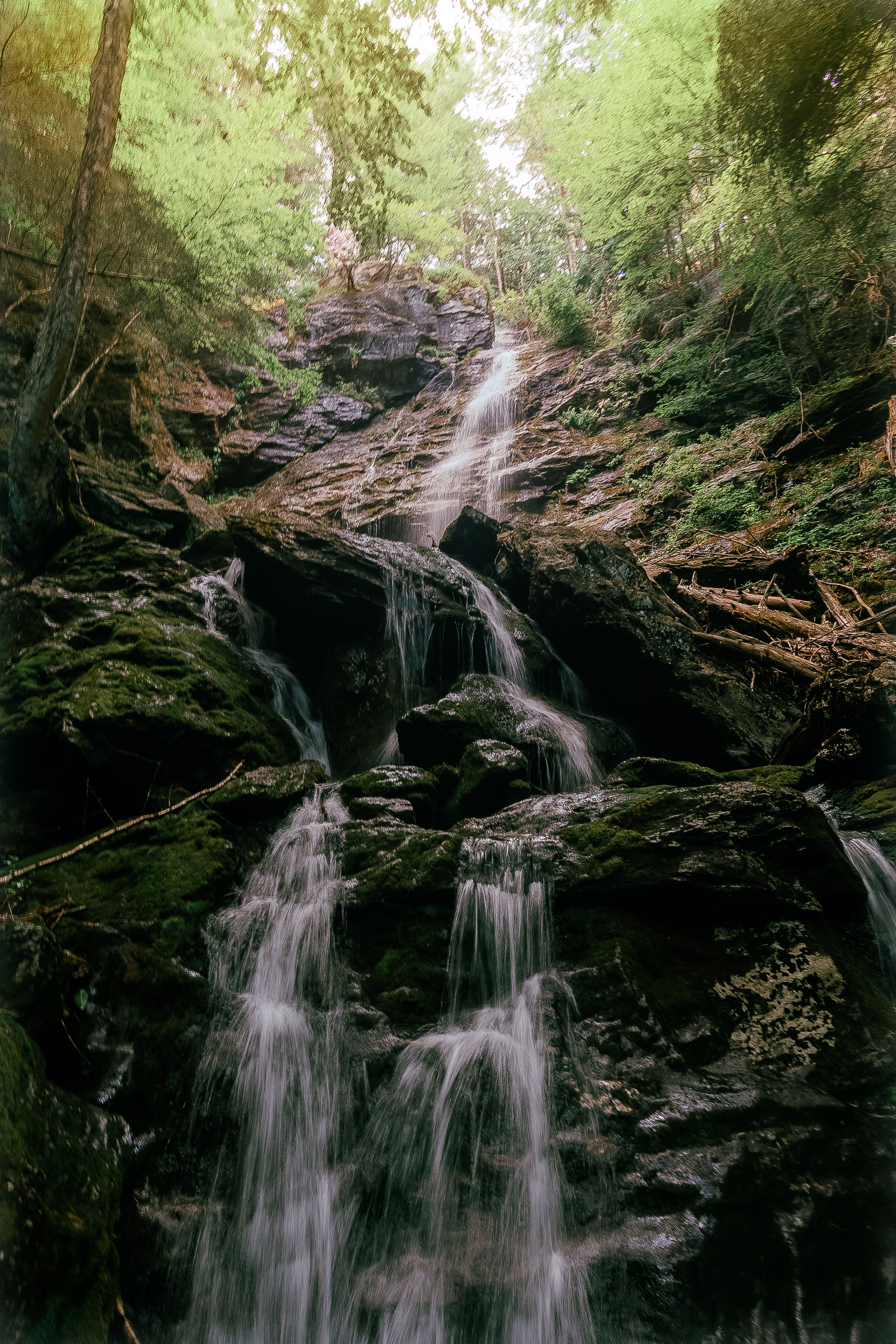 Waterfall on Rocks in Forest · Free Stock Photo