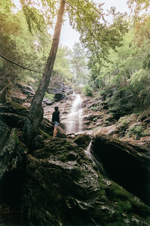 Foto stok gratis air terjun, alam, batu