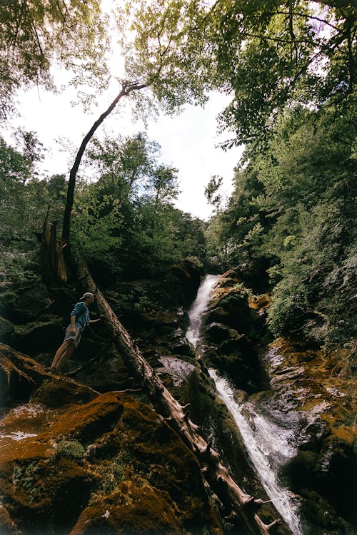 A Man Looking at Waterfall