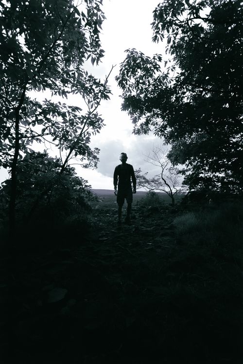 Free Moody silhouette of a man standing amidst dense forest trees, creating a mysterious atmosphere. Stock Photo