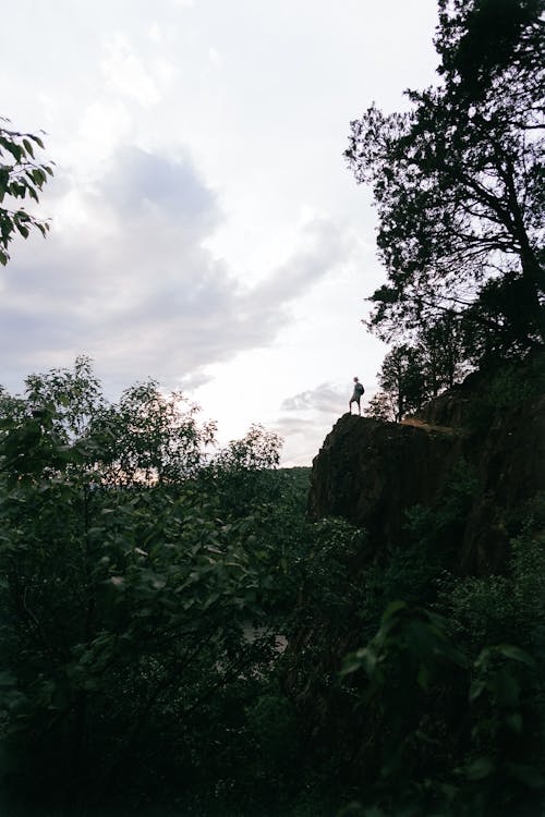 Person Standing on Rock over Forest