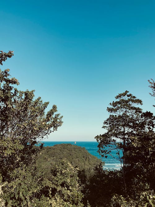 Foto profissional grátis de árvores, beira-mar, cênico