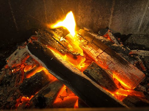 Free stock photo of barbecue, barbecue grill, fire Stock Photo