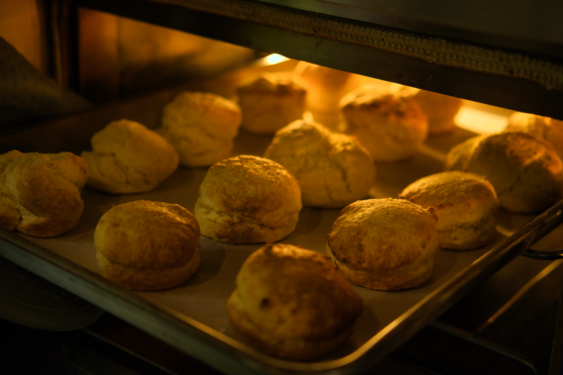 Close-up of freshly baked biscuits turning golden brown in a warm oven.