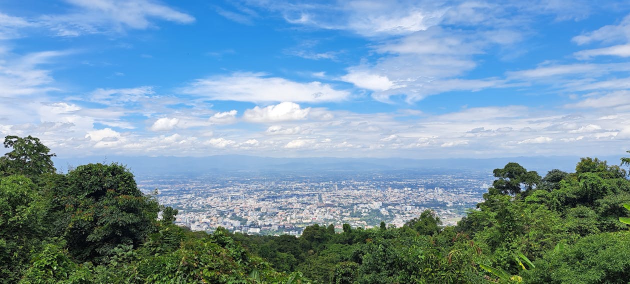 Immagine gratuita di albero, cielo, città