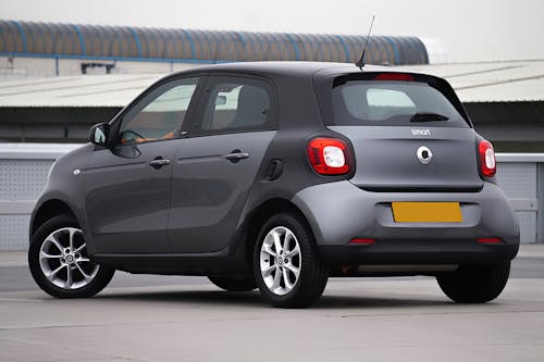 Gray Smart Forfour