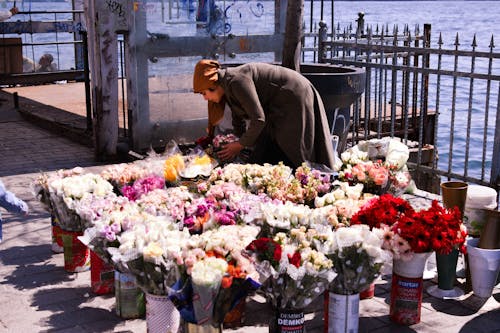 Foto d'estoc gratuïta de backstreet, flors, Istanbul