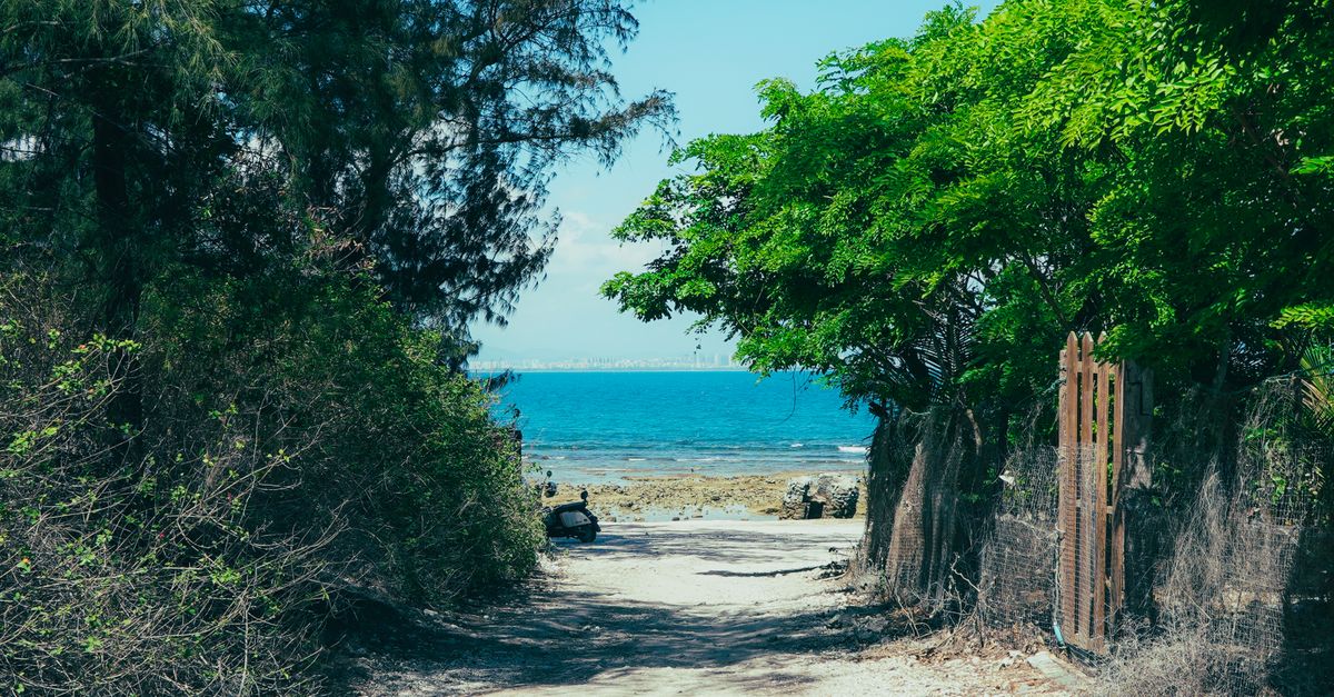 Body of Missing 74-Year-Old Man Found in Kilifi, Head Severed