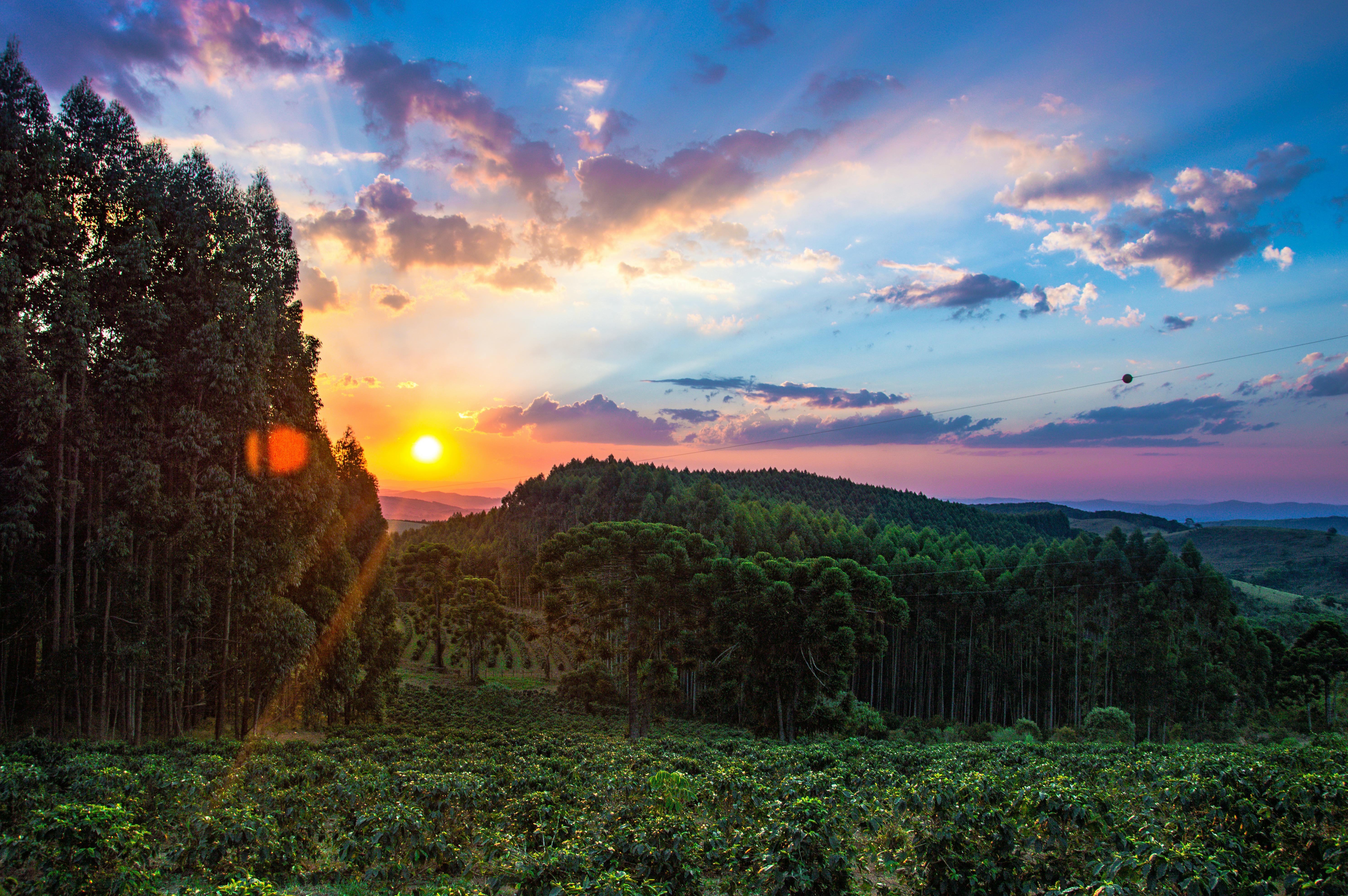 Wide Angle Photo of Green Grass Field \u00b7 Free Stock Photo