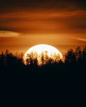 Dramatic sunset with silhouette of trees in Graz, Austria. Perfect for nature lovers.