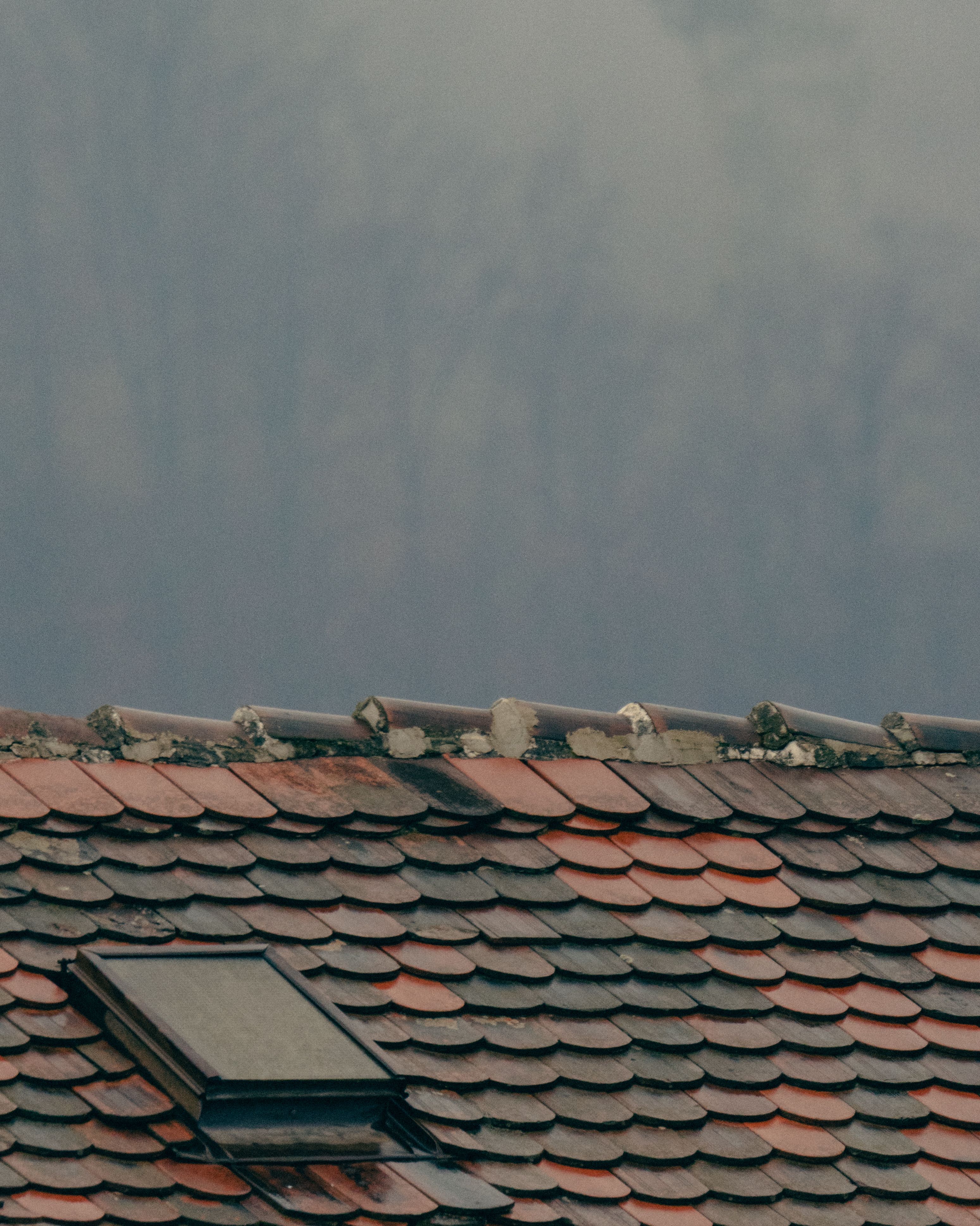 Close-up of a rustic slate tiled roof