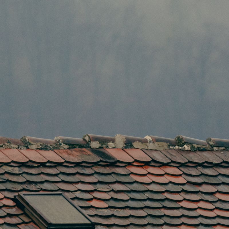Close-up of a rustic slate tiled roof