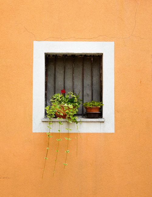Free A bright, yellow wall with a window holding flowerpots adds charm and color. Stock Photo