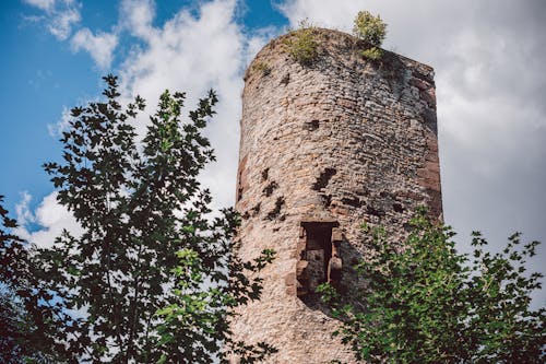 Free stock photo of city wall, einbeck, wallanlage