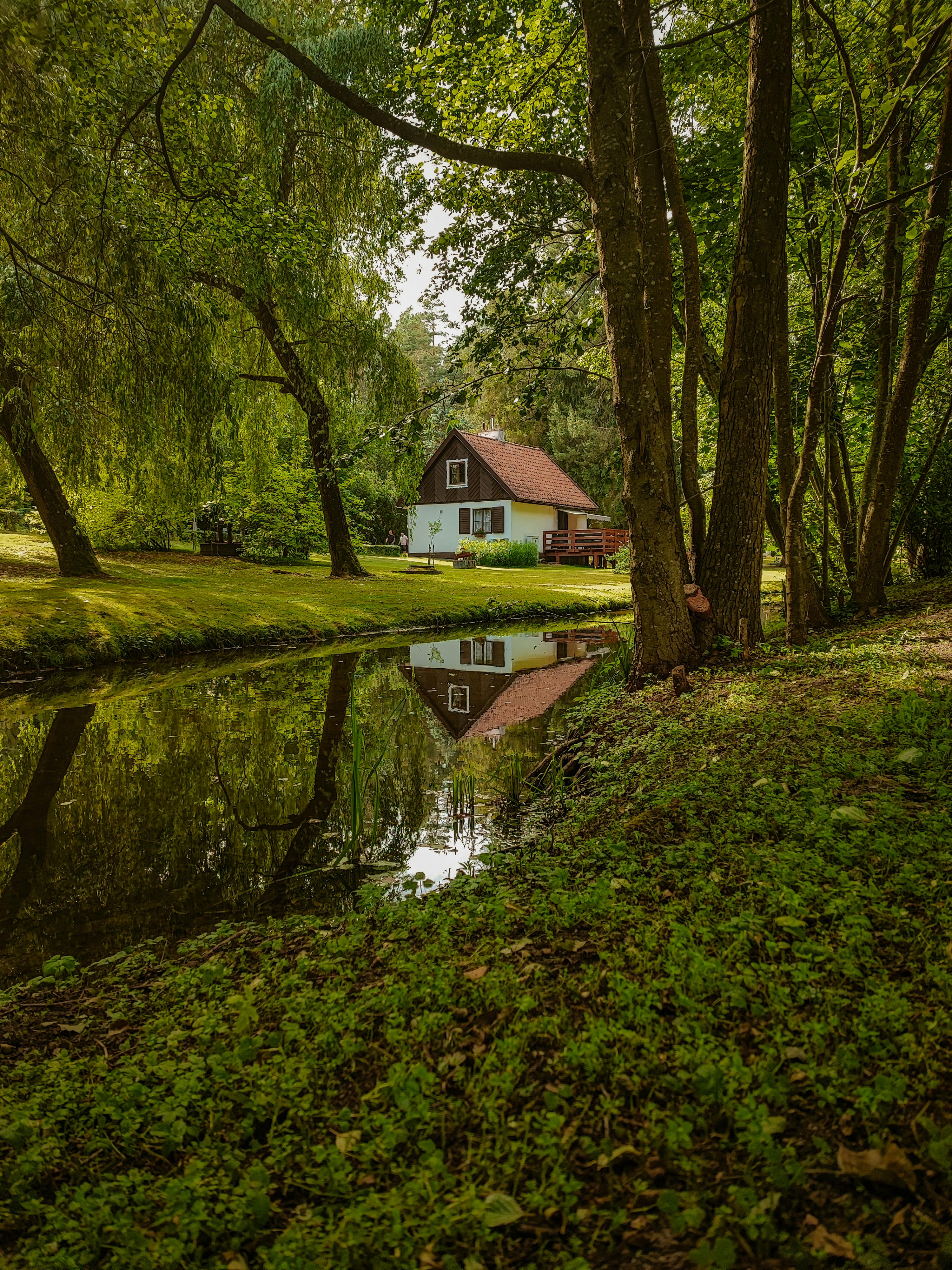 village house by river and among trees