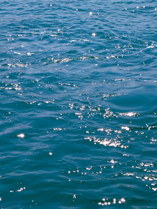 Foto profissional grátis de liquidez, mar, natureza