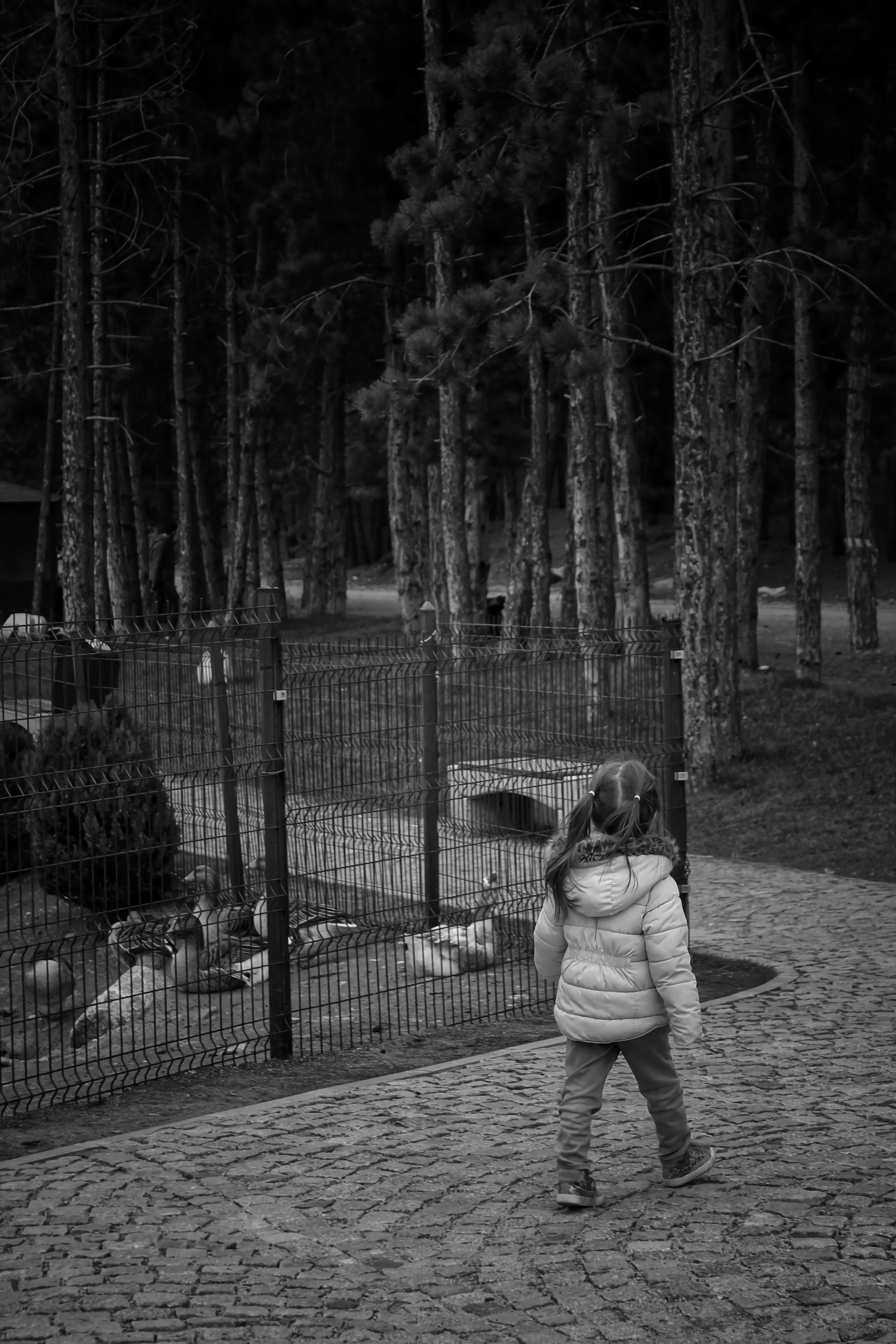 Girl in Jacket Walking near Fence with Birds behind · Free Stock Photo