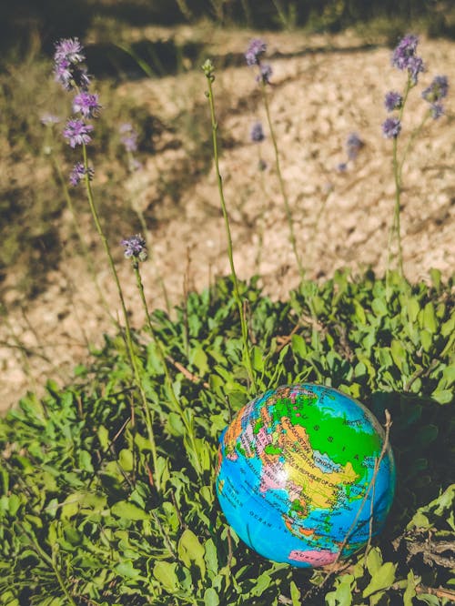 Fotobanka s bezplatnými fotkami na tému dedinský, guľa, hračka