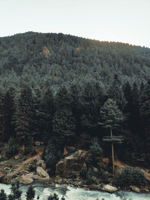Free A breathtaking aerial view of a lush forested hillside with a flowing river beneath. Stock Photo