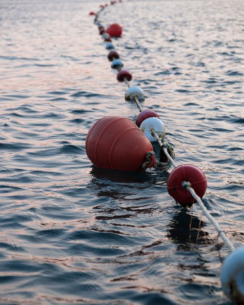 Free A line of buoys floating on a calm sea at sunset, creating a serene maritime scene. Stock Photo