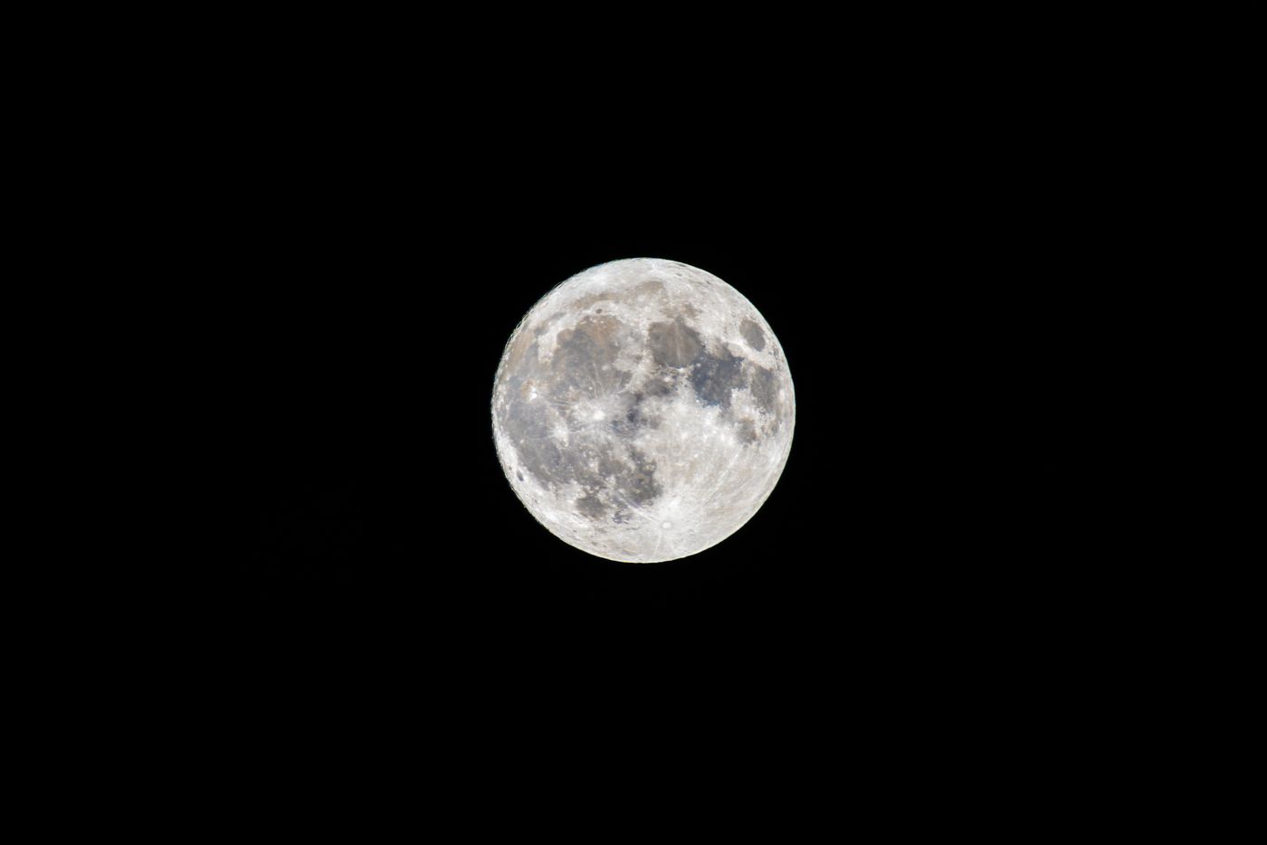 A detailed view of the full moon against a dark night sky.