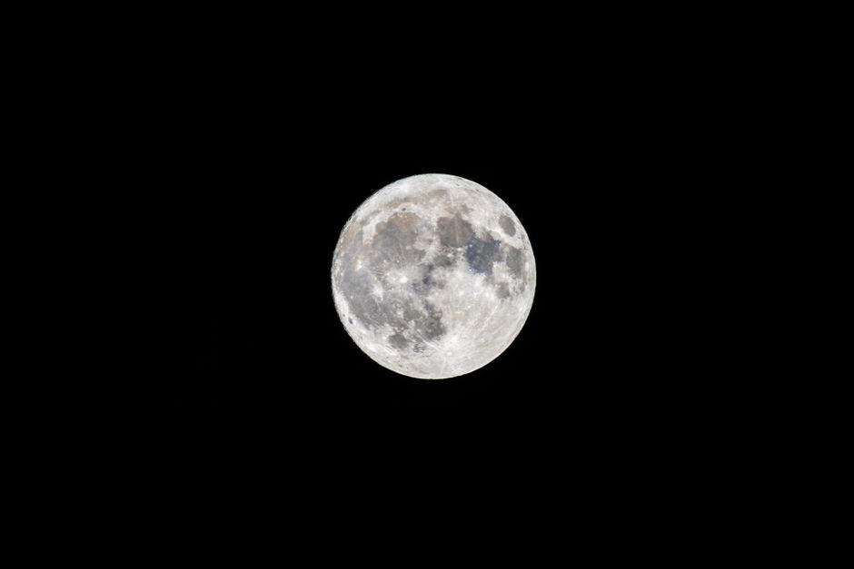 Fotomural Una vista detallada de la luna llena contra un oscuro cielo nocturno.
