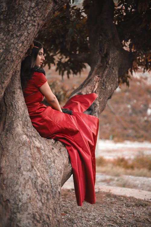 Darmowe zdjęcie z galerii z brunetka, czerwona sukienka, duże drzewo