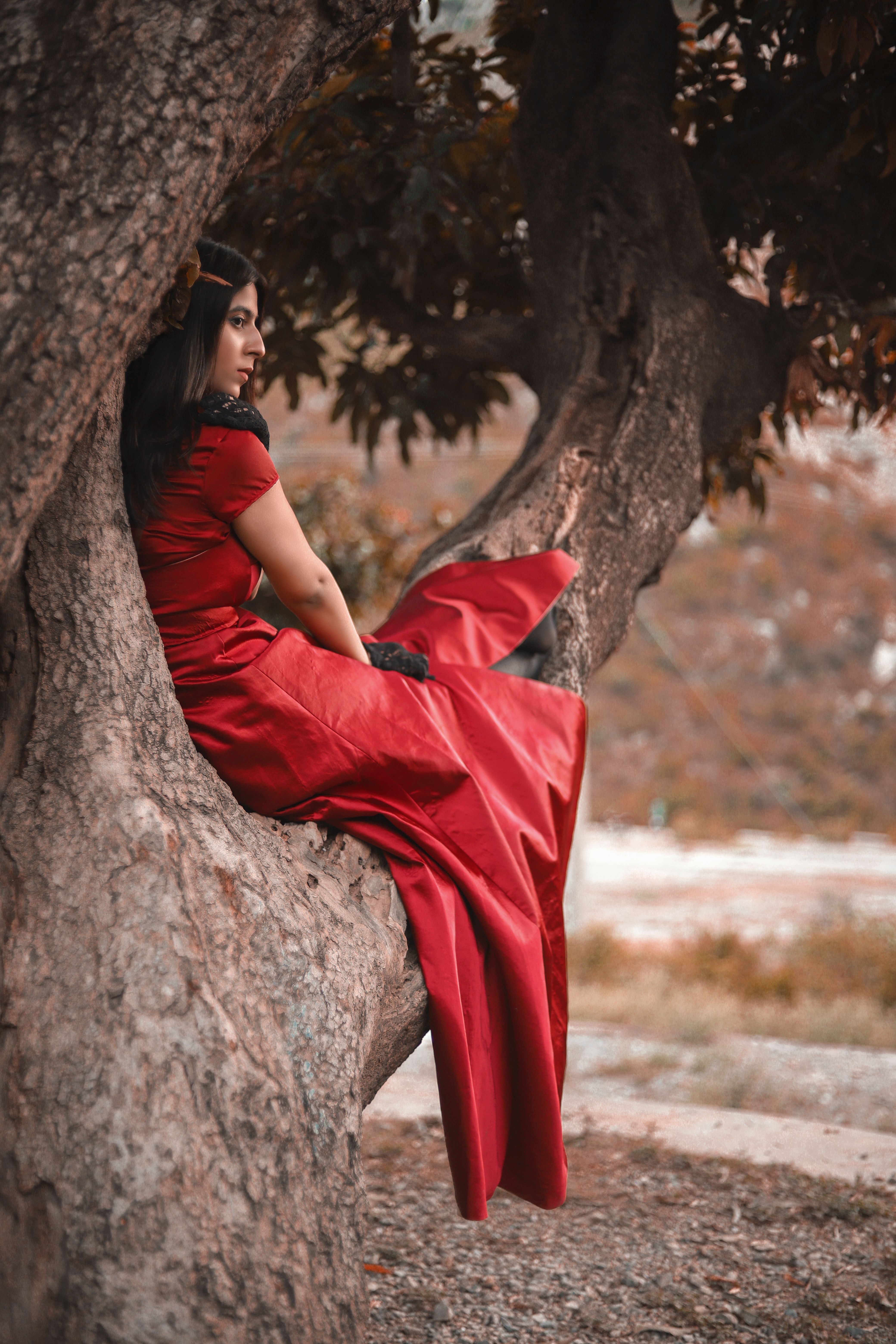 Glamour Woman in Red Dress Sitting on Large Tree · Free Stock Photo