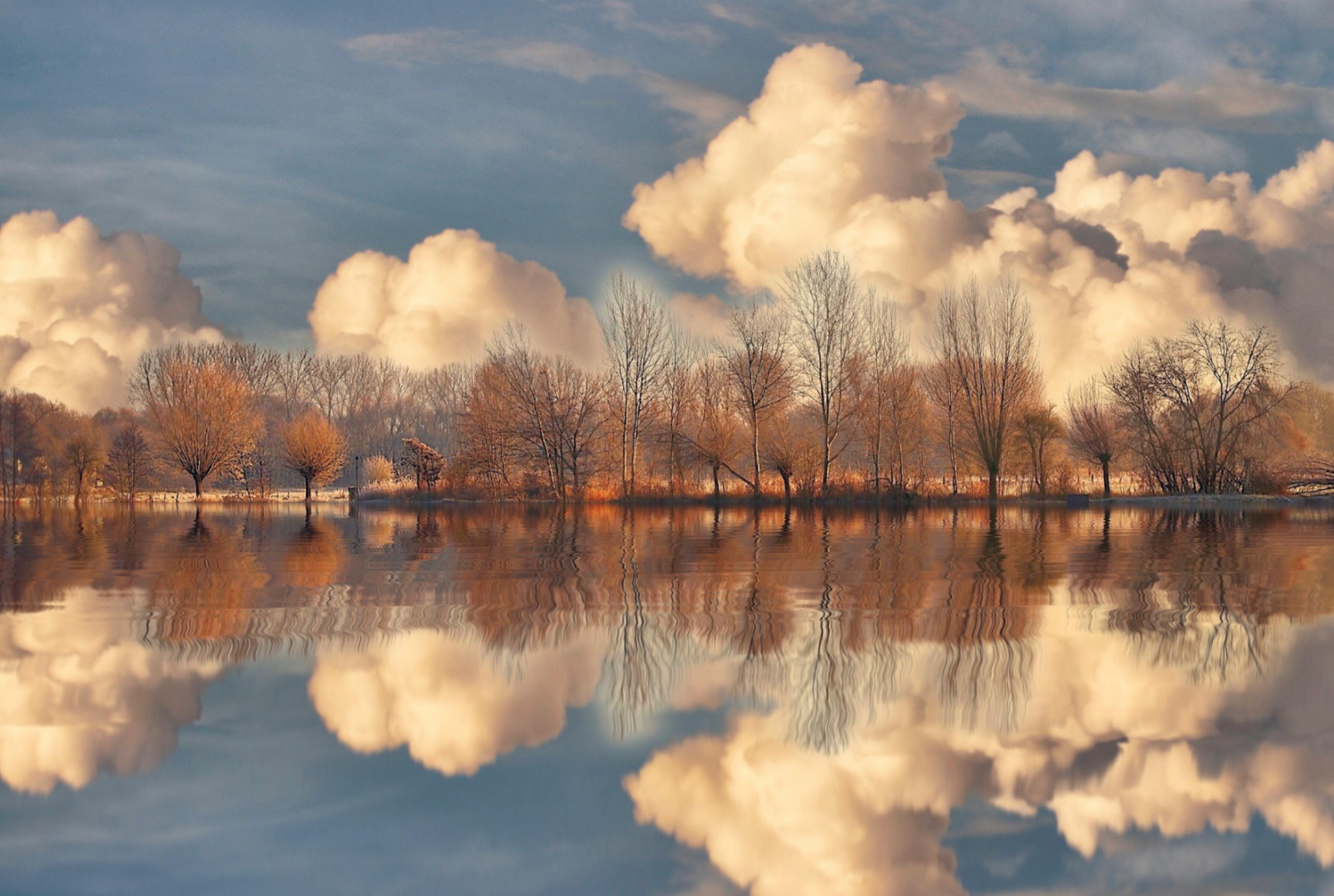 Free Stock Photo Of Landscape, Still Life