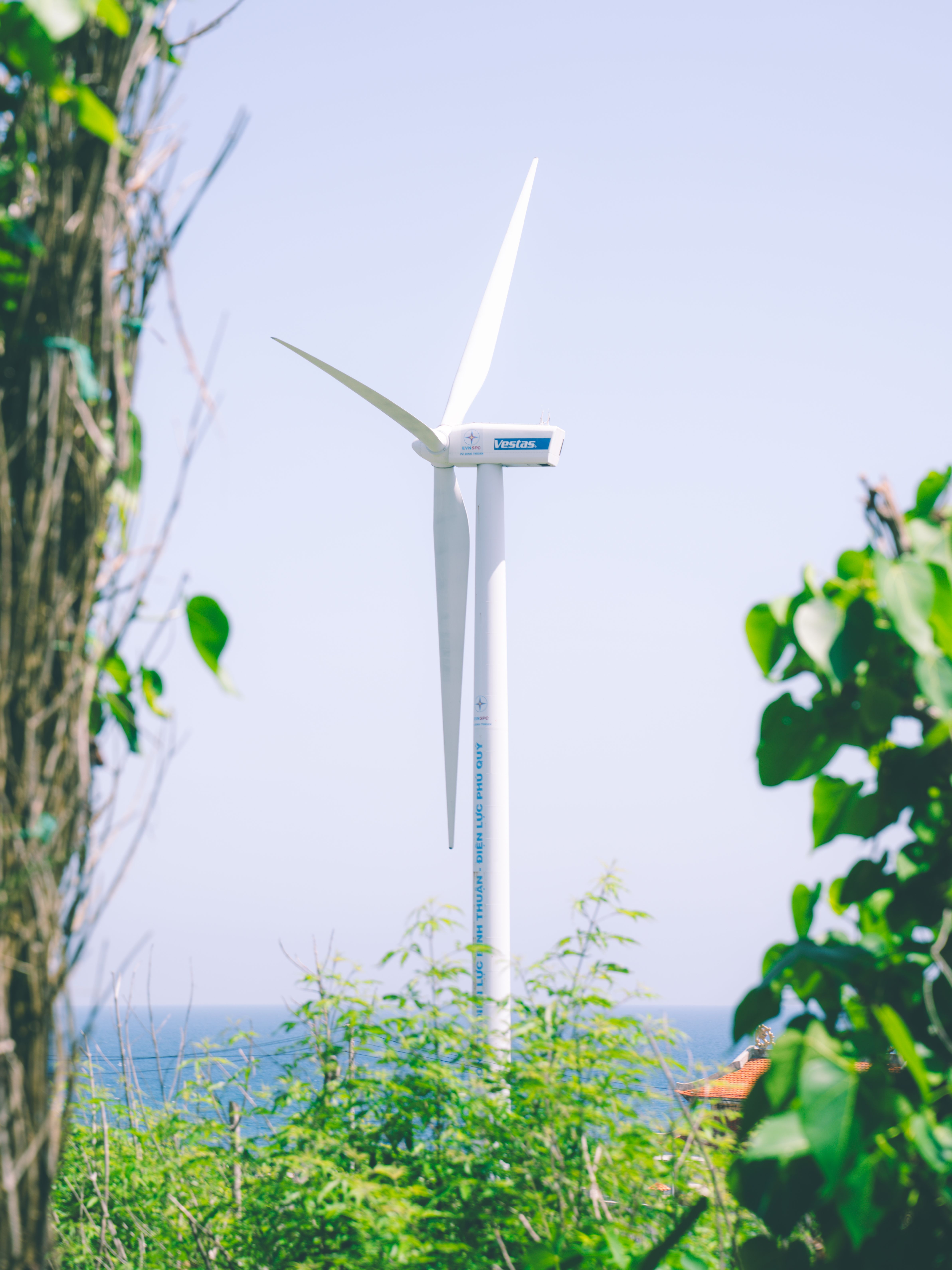 Foto de stock gratuita sobre aerogenerador, al aire libre, amigable con ...