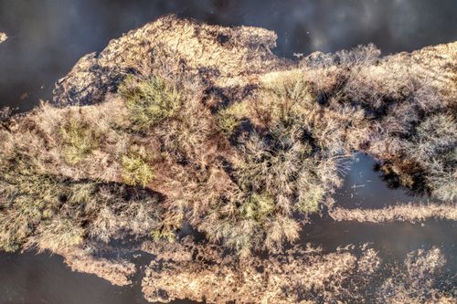 Free Aerial view of a dry island surrounded by water, showcasing autumn colors in Wabasha, Minnesota. Stock Photo