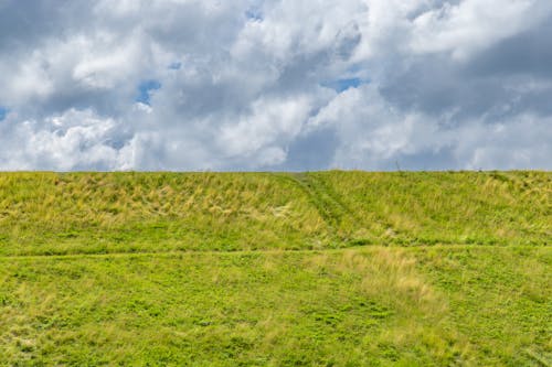 Green Filed with Grass and Clouds in the Sky