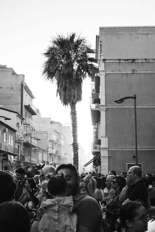 Black and White Photograph of a Crowd and a Palm Tree on a Sicily Street