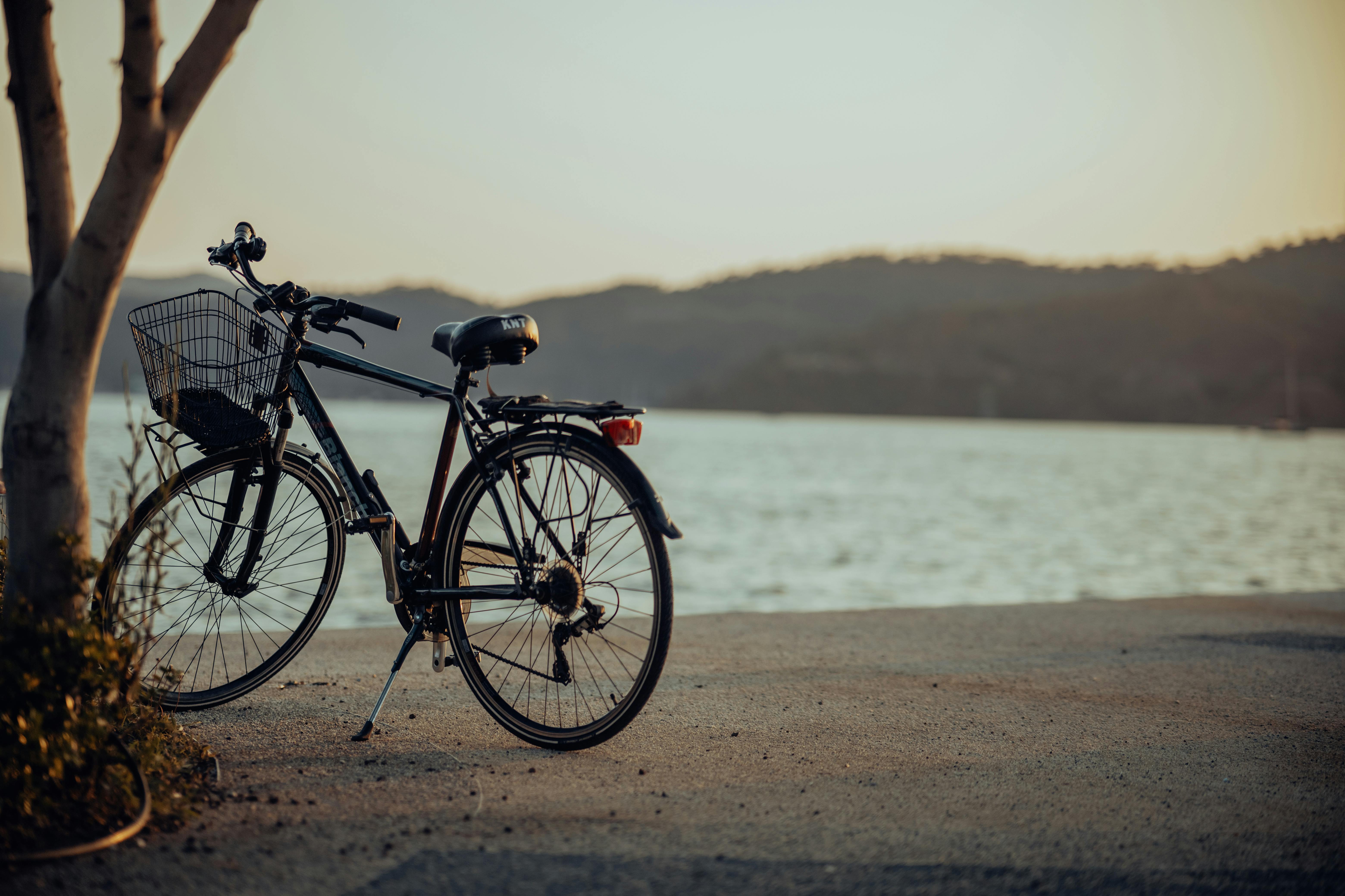 A Bicycle on the Pavement on the Shore · Free Stock Photo, image size:1125x750