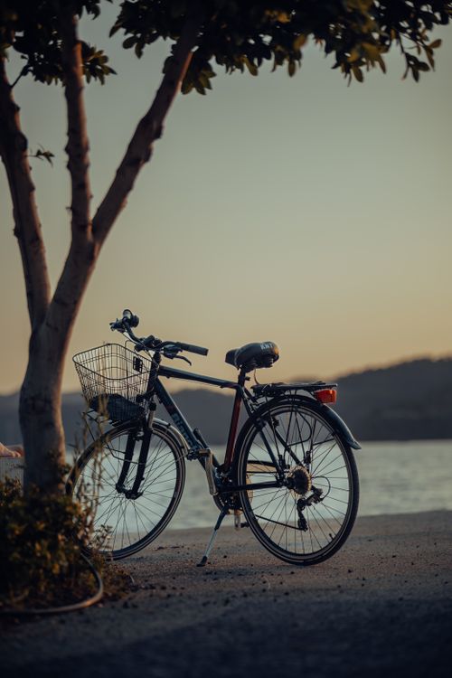 Free Bicycle parked by the water during a tranquil sunset under a tree. Stock Photo