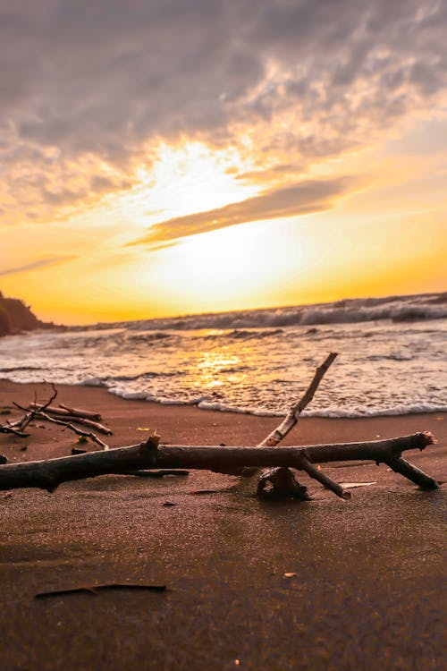 Close-up of a Stick Lying on a Beach at Sunset