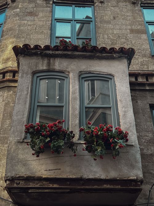 Free Old urban building with vibrant red flowers under antique windows. Stock Photo
