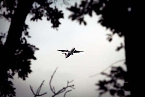 Flying Airplane behind Trees