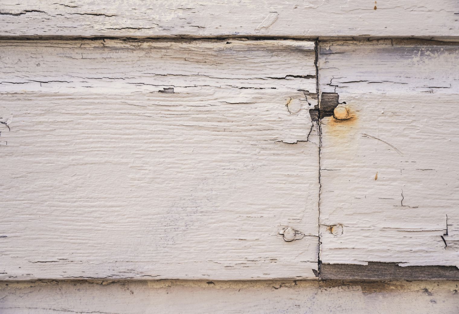 Painters and Decorators in Acton — walls rolled to an even, flat finish