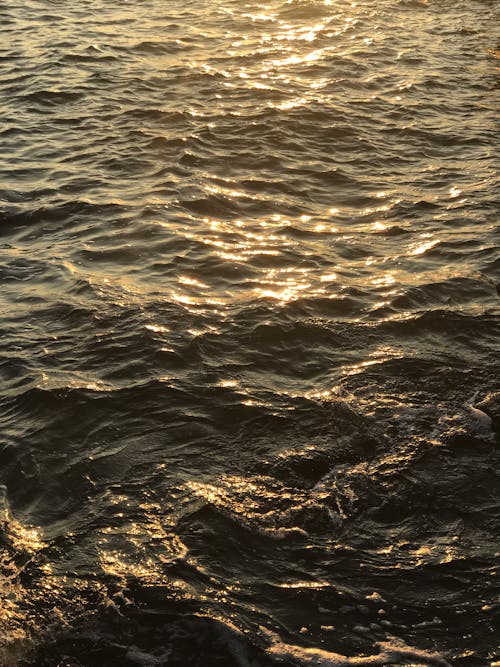 Shiny Water at Sunset
